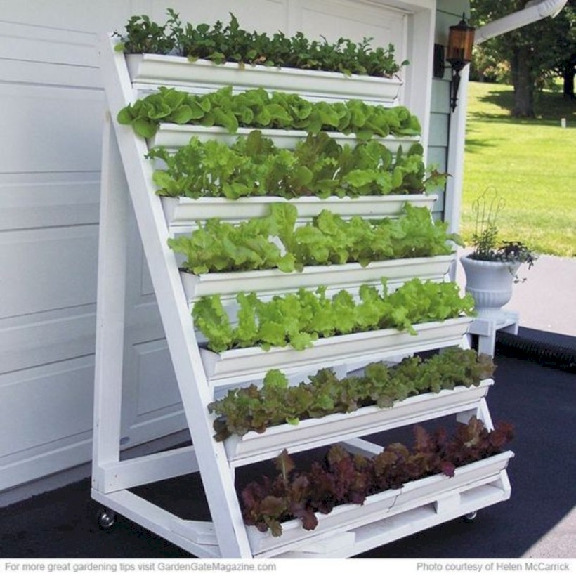 Vertical vegetable gardening
