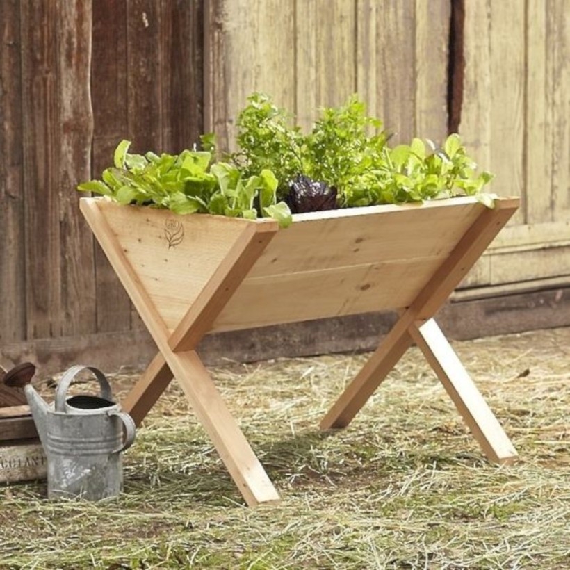 Wooden veg-wedge raised bed to grow herbs and cherry tomatoes