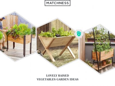 17. vegetables garden ideas