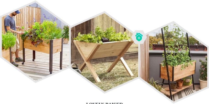 17. vegetables garden ideas