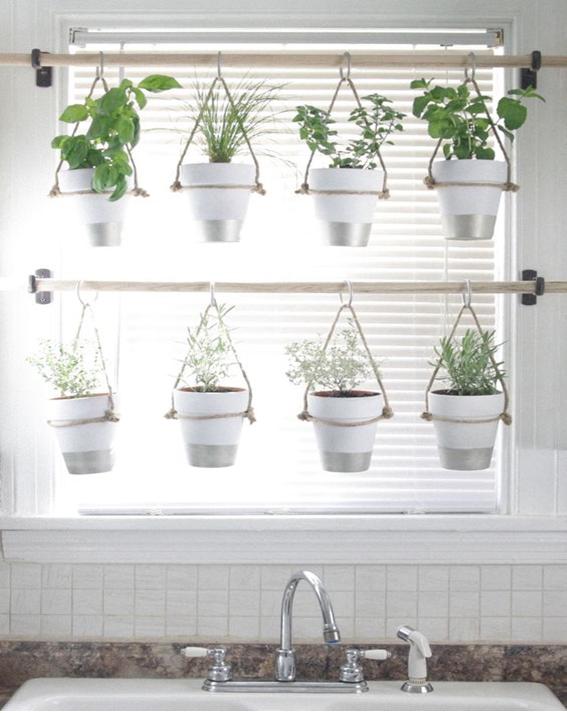 Kitchen herbs garden 1