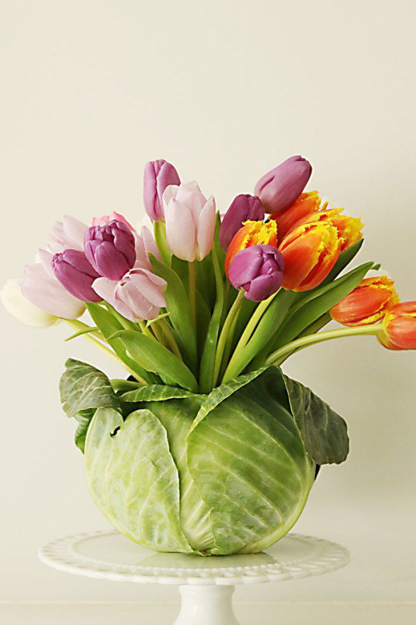 Diy tulip cabbage arrangement