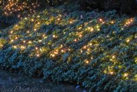 Garden lighting magical ground
