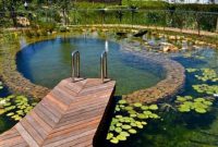 Small swimming pool 8