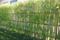 Bamboo living fence