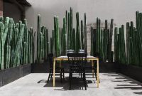 Cactus living fence