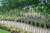 Willow trees living fence