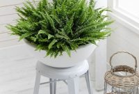 Bedroom plants 6