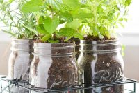 Plant herbs in mason jars