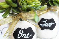 Succulent mason jar centerpieces