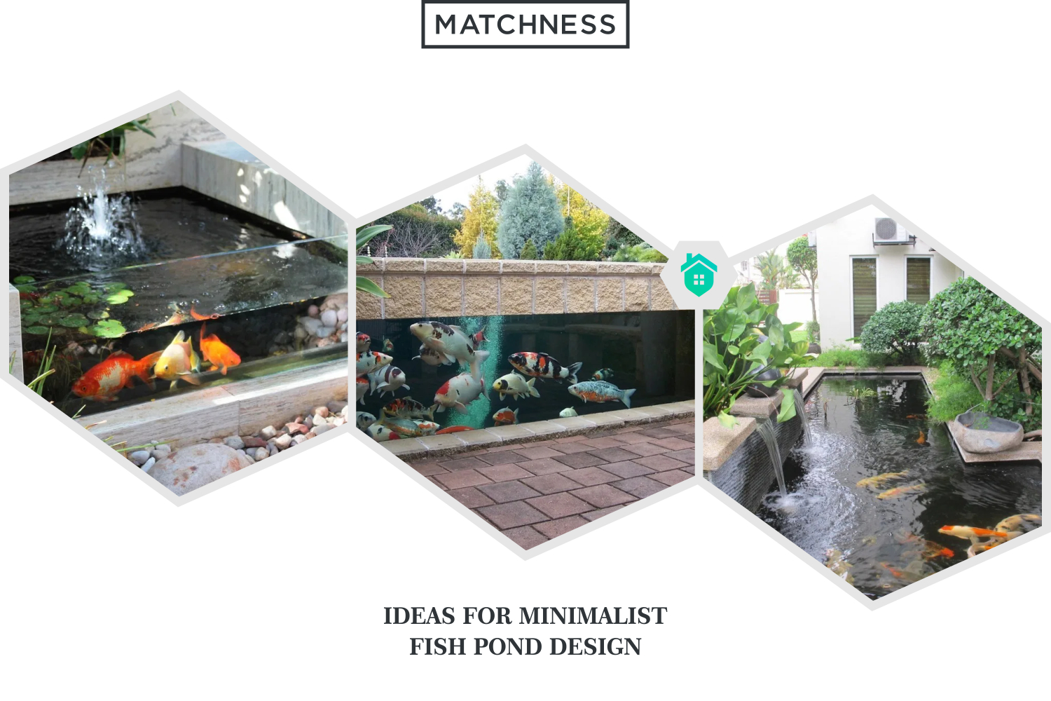 10 Ideas For Minimalist Fish Pond Design Matchness Minimalist Fish Pond Design Matchness