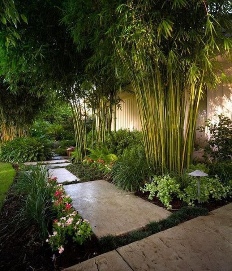 Bamboo fence ideas for small houses 33