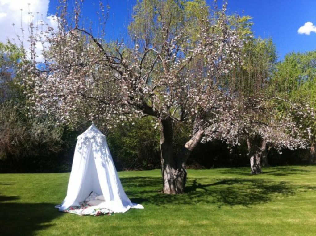 Best creativity backyard projects to surprise your kids 45