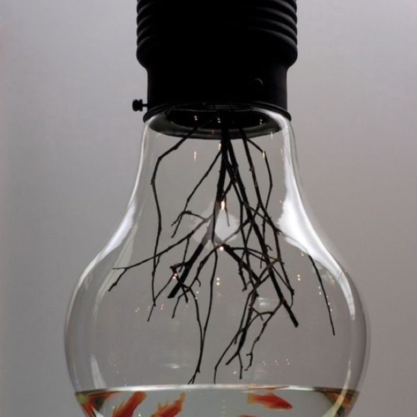 Bright ideas to recycle old light blubs 10