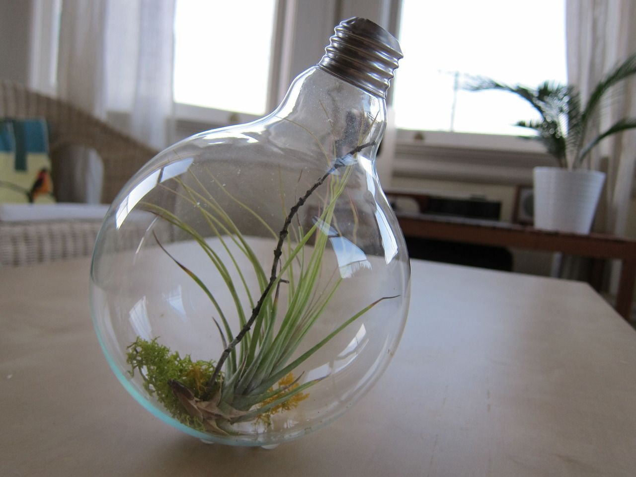 Bright ideas to recycle old light blubs 12