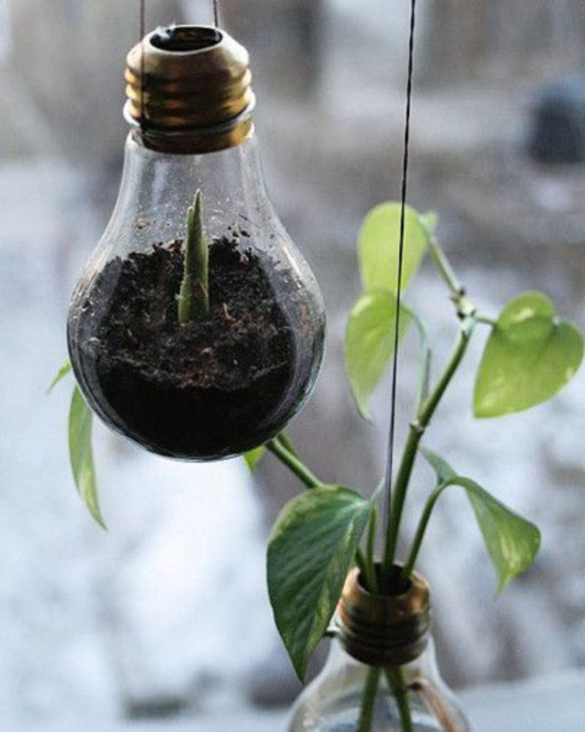 Bright ideas to recycle old light blubs 15