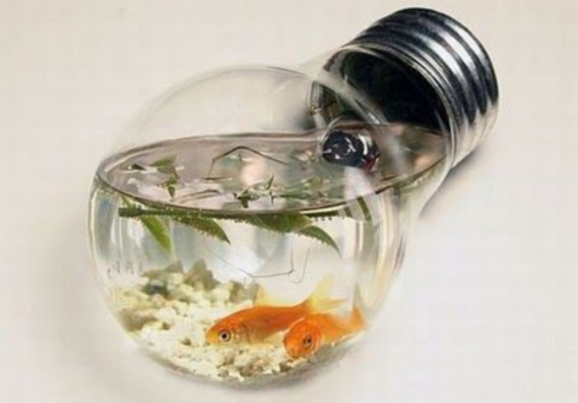 Bright ideas to recycle old light blubs 29