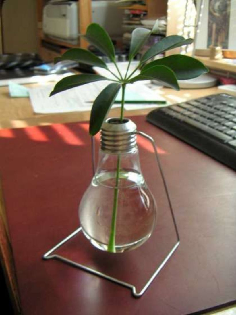 Bright ideas to recycle old light blubs 45