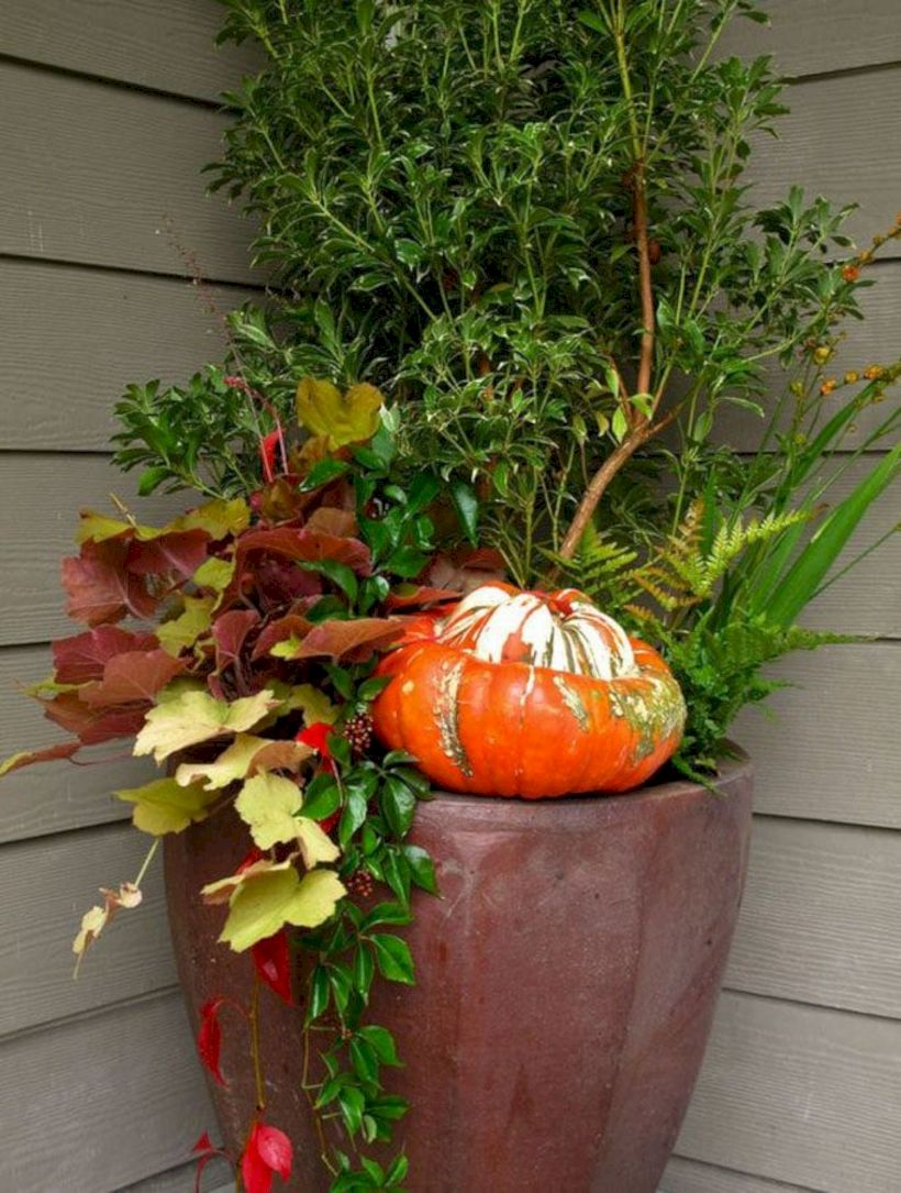 Colorful winter planters for your outdoor decorations 02