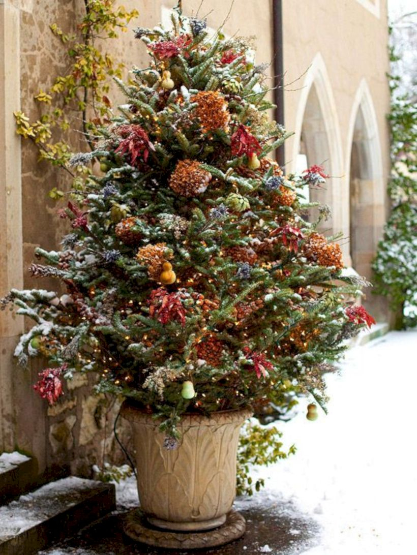 Colorful winter planters for your outdoor decorations 19