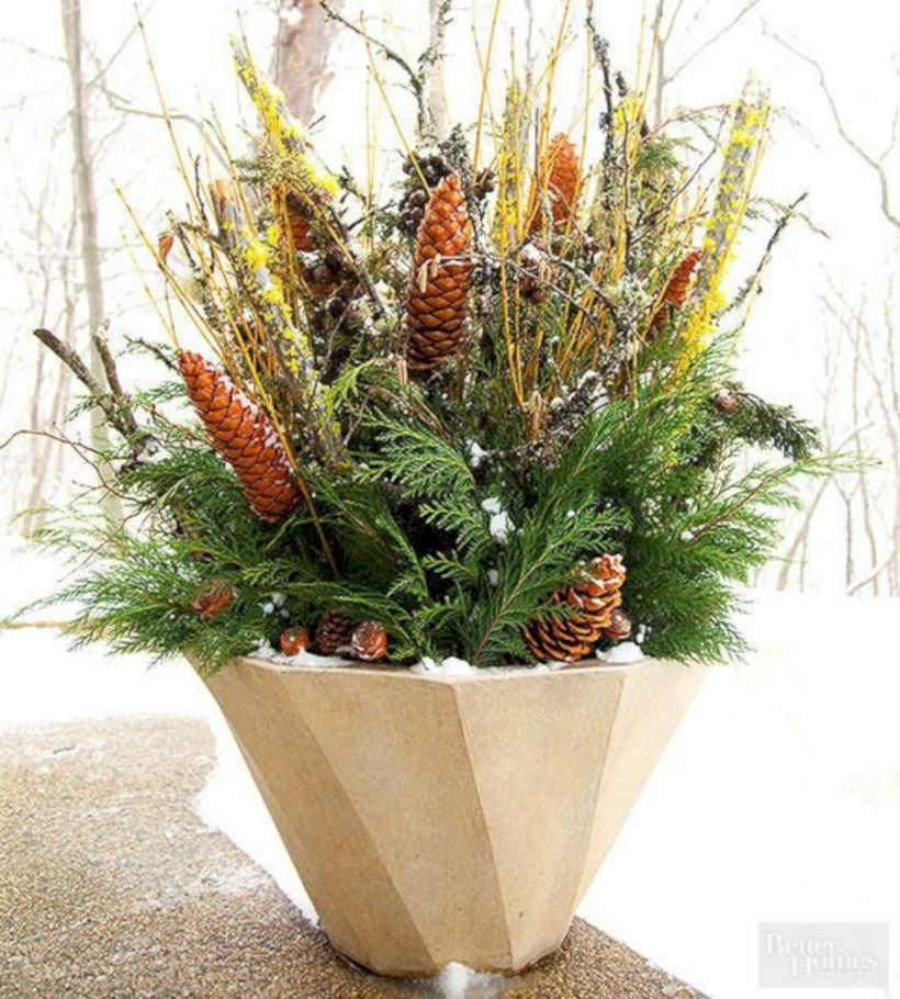 Colorful winter planters for your outdoor decorations 38