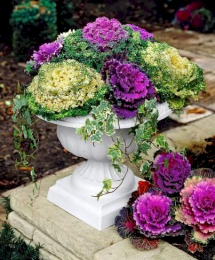 Colorful winter planters for your outdoor decorations 39