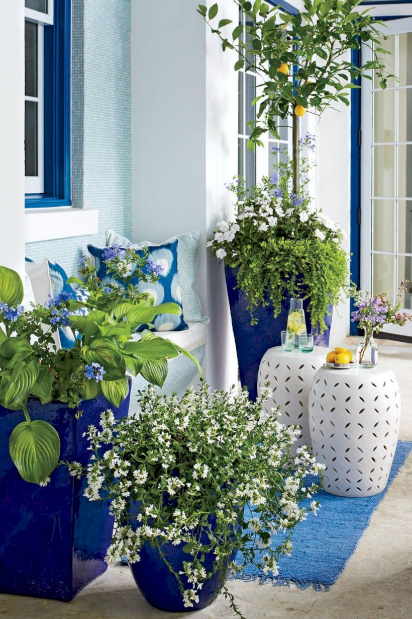 Colorful winter planters for your outdoor decorations 45