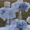 Easy winter centerpiece decoration ideas to try 38