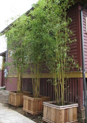 Beautiful yet functional privacy fence planter boxes ideas 03