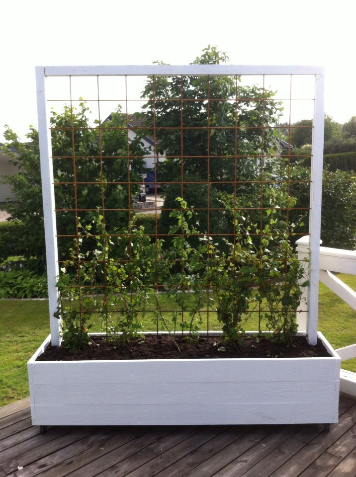 Beautiful yet functional privacy fence planter boxes ideas 54