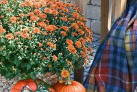 Fabulous winter patio decorating ideas 37