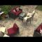 Minimalist furniture for your outdoor area 22