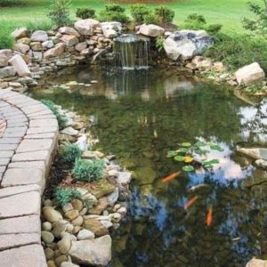 Design a fish pond garden with a waterfall concept 06