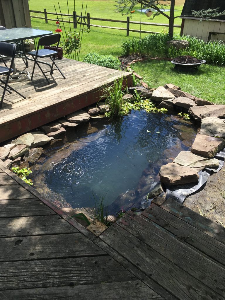 Design a fish pond garden with a waterfall concept 12