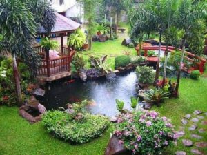 Design a fish pond garden with a waterfall concept 14