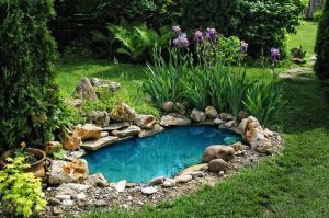 Design a fish pond garden with a waterfall concept 20