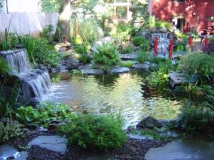 Design a fish pond garden with a waterfall concept 21