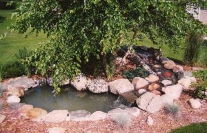Design a fish pond garden with a waterfall concept 24