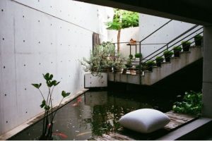 Design a fish pond garden with a waterfall concept 28