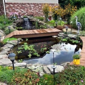 Design a fish pond garden with a waterfall concept 32