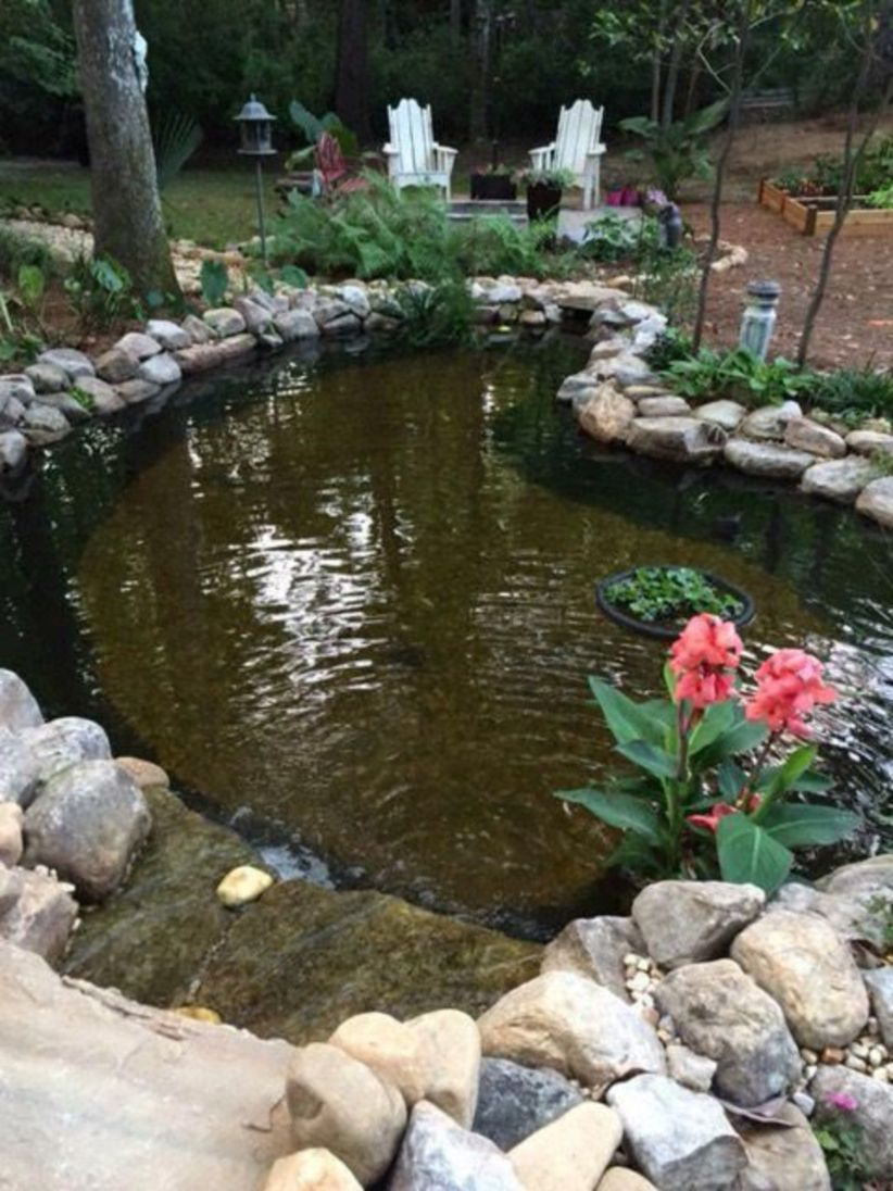 Design a fish pond garden with a waterfall concept 38