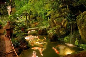 Design a fish pond garden with a waterfall concept 40