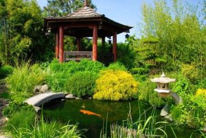 Design a fish pond garden with a waterfall concept 41