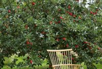 The best garden design for small areas 32