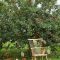 The best garden design for small areas 32