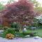 The best garden design for small areas 35