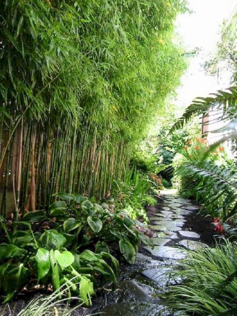 The best small home garden design ideas 30