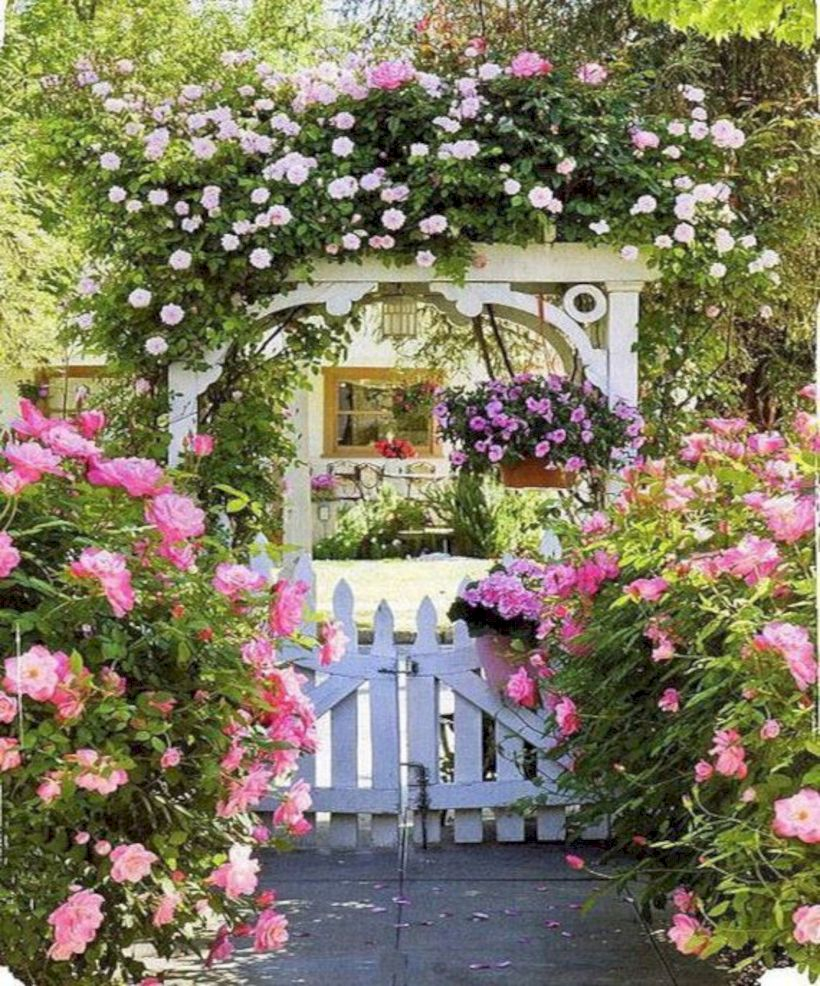 Amazing rose garden ideas in this year 02