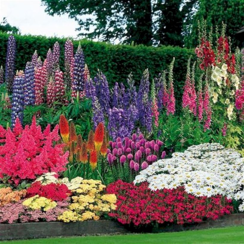 Amazing rose garden ideas in this year 05