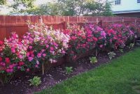 Amazing rose garden ideas in this year 06